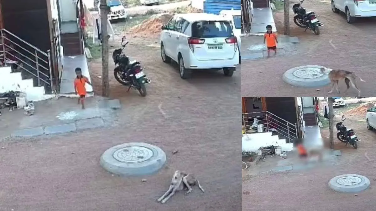 A boy who came out to play with desire; Stray dog ​​bitten