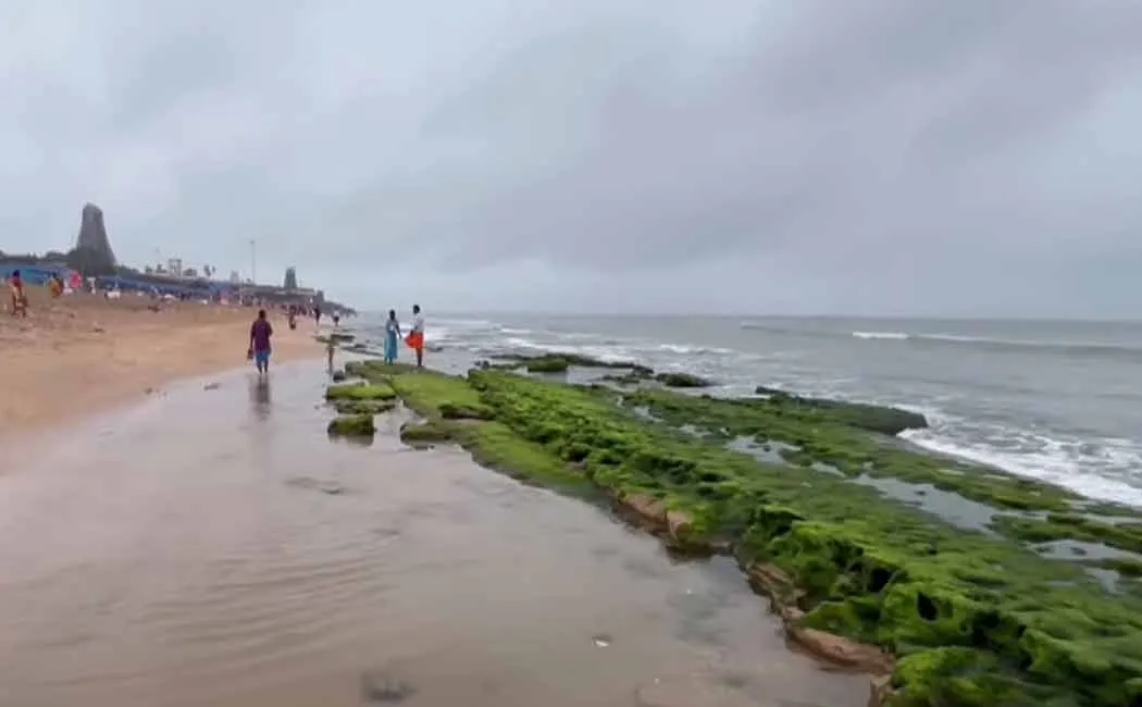 sea