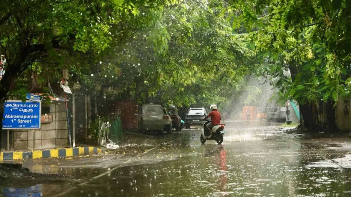 rain