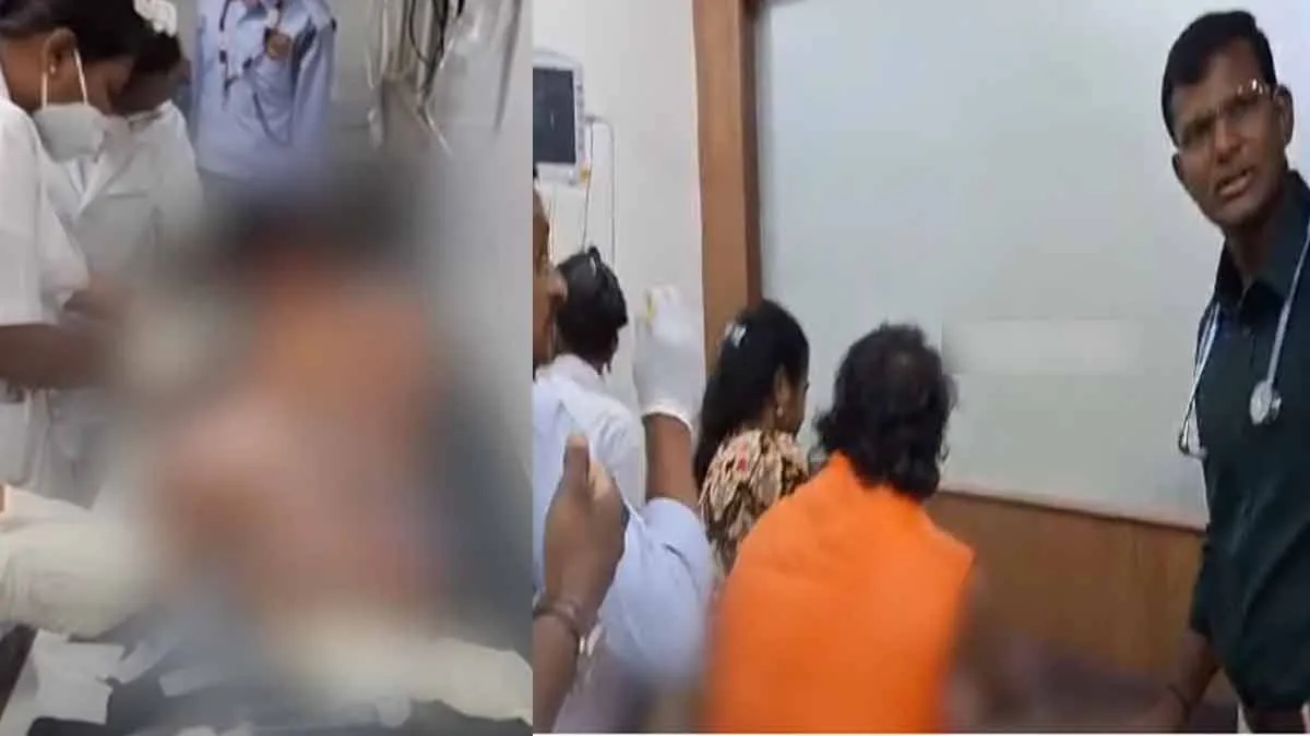 A stray dog ​​that bit a child; shocking video