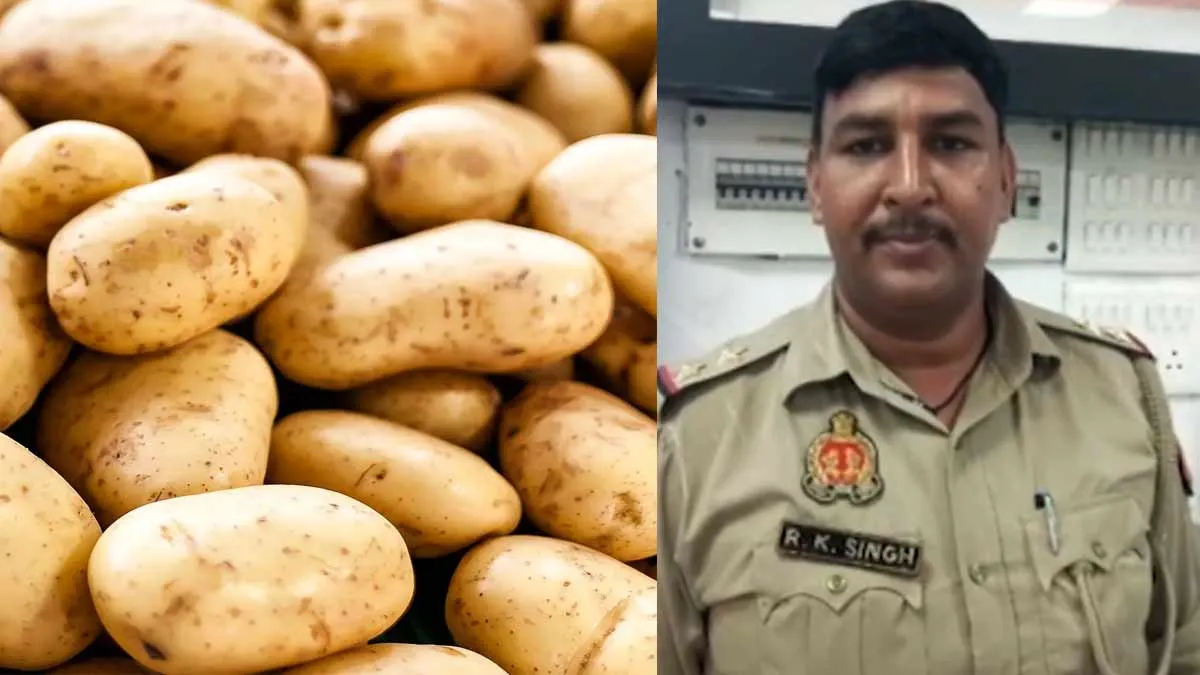 'Potato' - Sub-Inspector Trapped By Code Word