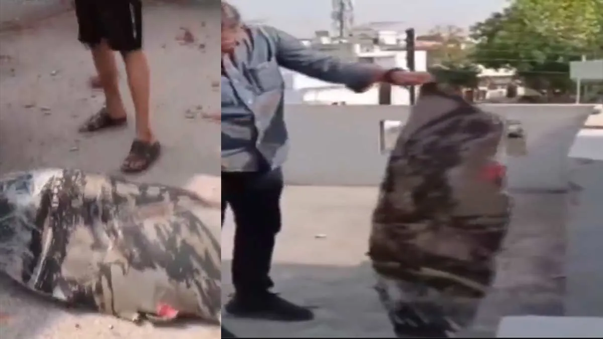 Mysterious object that fell on the terrace