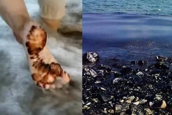 Oil slick spread to marina?-public allegation