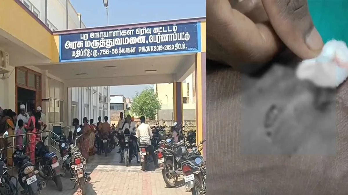  Stray dogs biting; 7 people were injured