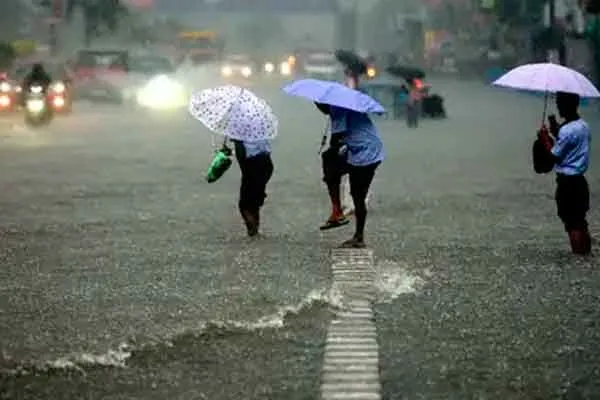  Heavy rain echoes; Tomorrow is a holiday for schools in Karaikal