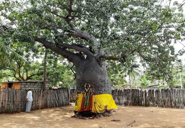 ramanathapuram district 16th Century Inscription Discovery