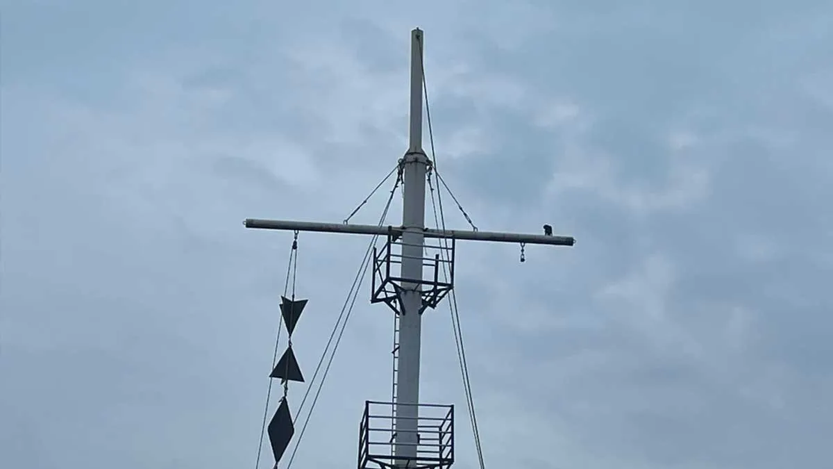 'Strengthened Depression'-Storm cage uplift in 9 ports