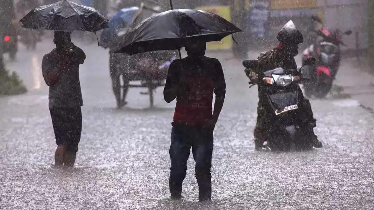 'A cold rain in summer'