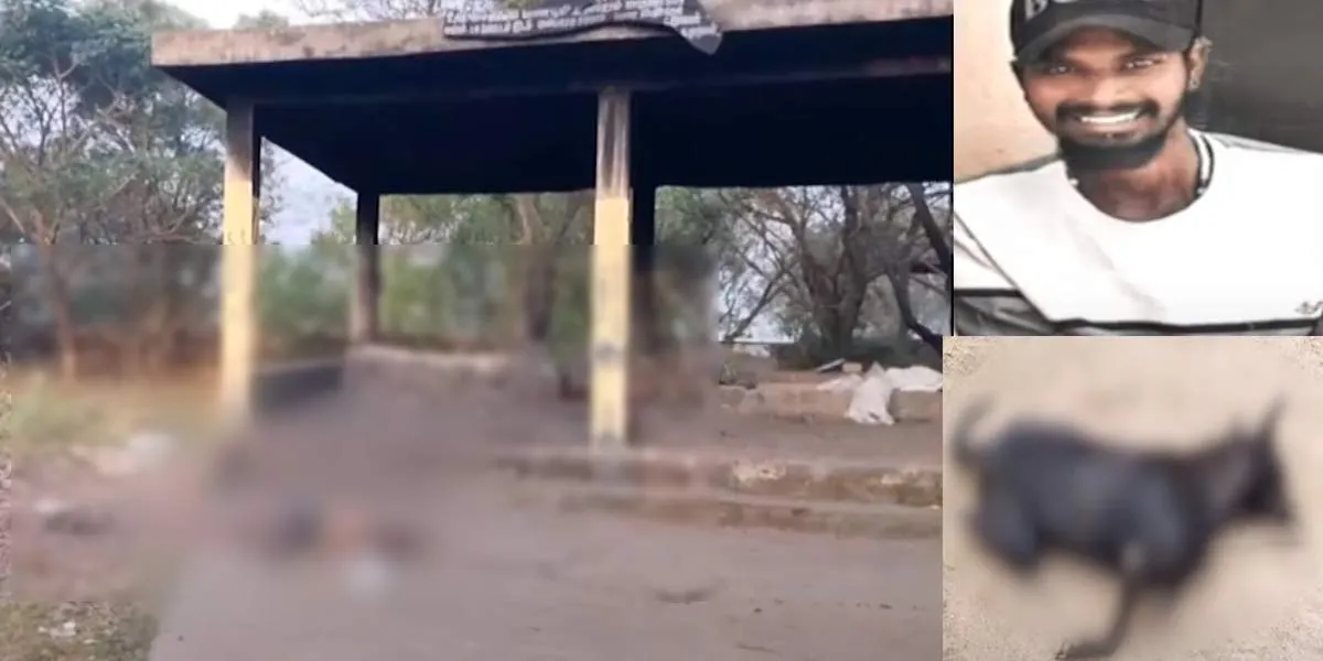 Youth incident by cremation; Cruelty in a love affair