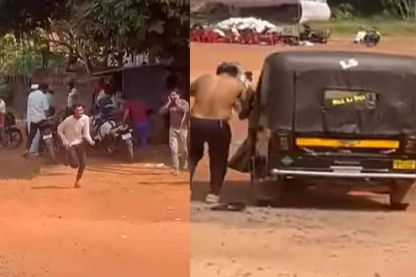 The ball hit by the batsman; The bees that chased and stung