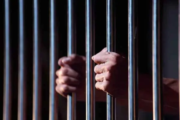 12 prisoners released on Anna's birthday