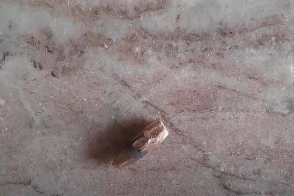 Shooting at lawyer's house; Bustle near Tambaram