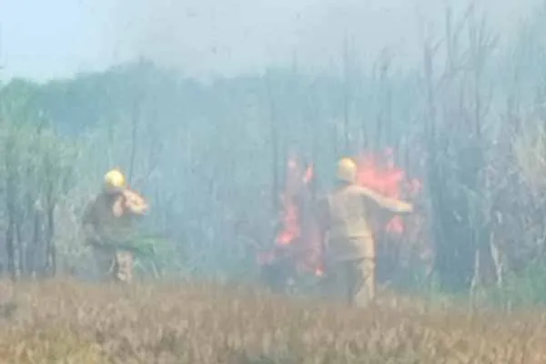 10 acres of sugarcane burned and damaged near Srimushnam