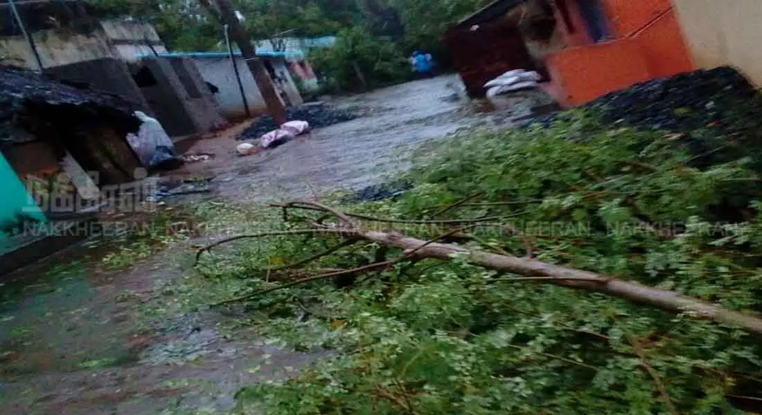  storm renovation - holiday announcement for four districts
