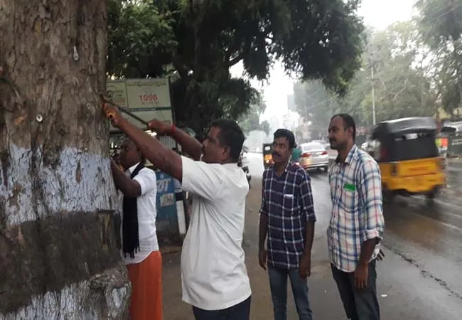 social Volunteers nail Pulling out festival theni district trees 
