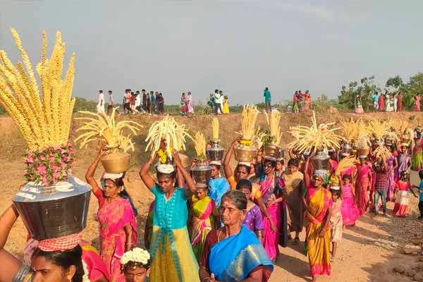 Weeded rice harvest festival!