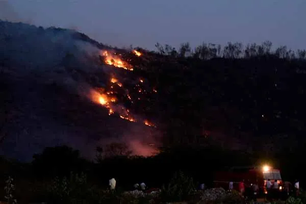 spread of wildfires; A forest department that is stifling