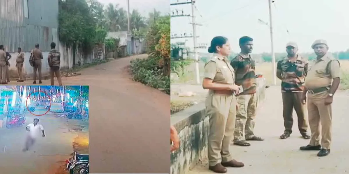 Leopard in Mayiladuthurai; Bear in Ambasamudra; Videos go viral