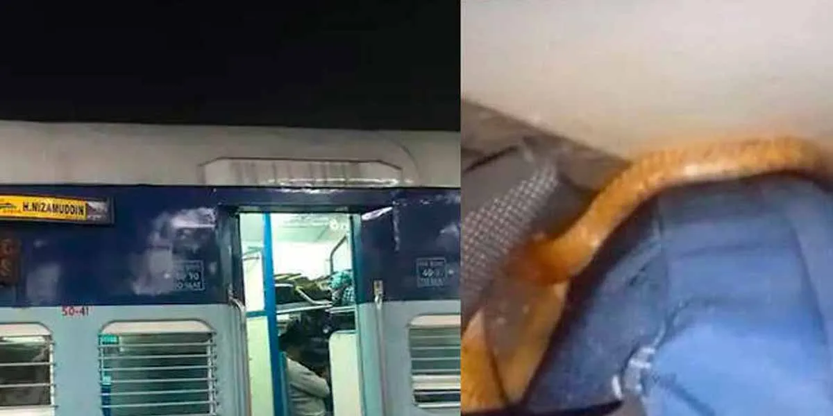 A snake that entered the train; Tragedy befell the young man