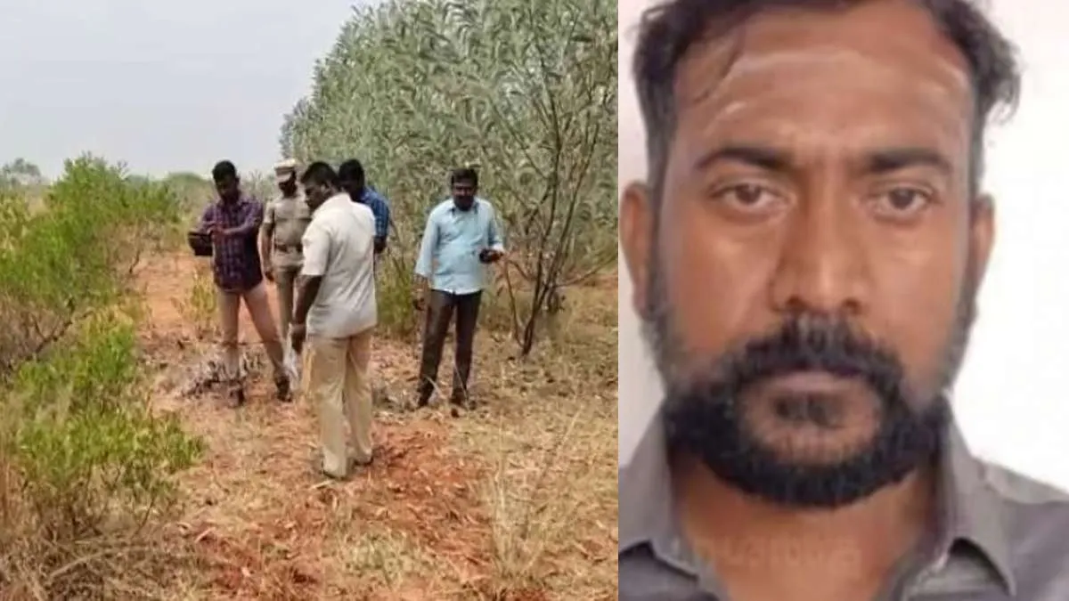 Rowdy Encounter; Surrender of arms to court