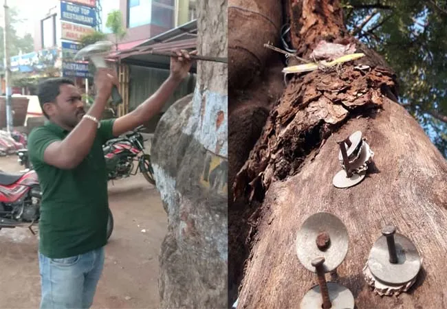social Volunteers nail Pulling out festival theni district trees 