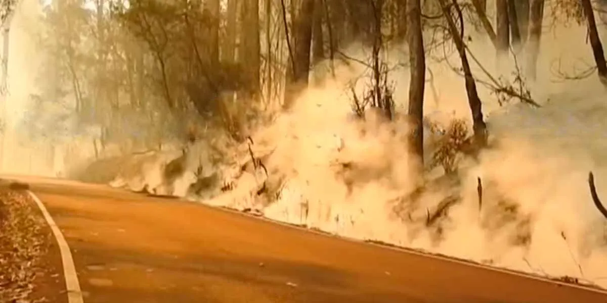 Forest fire in Kodaikanal;Warning to tourists