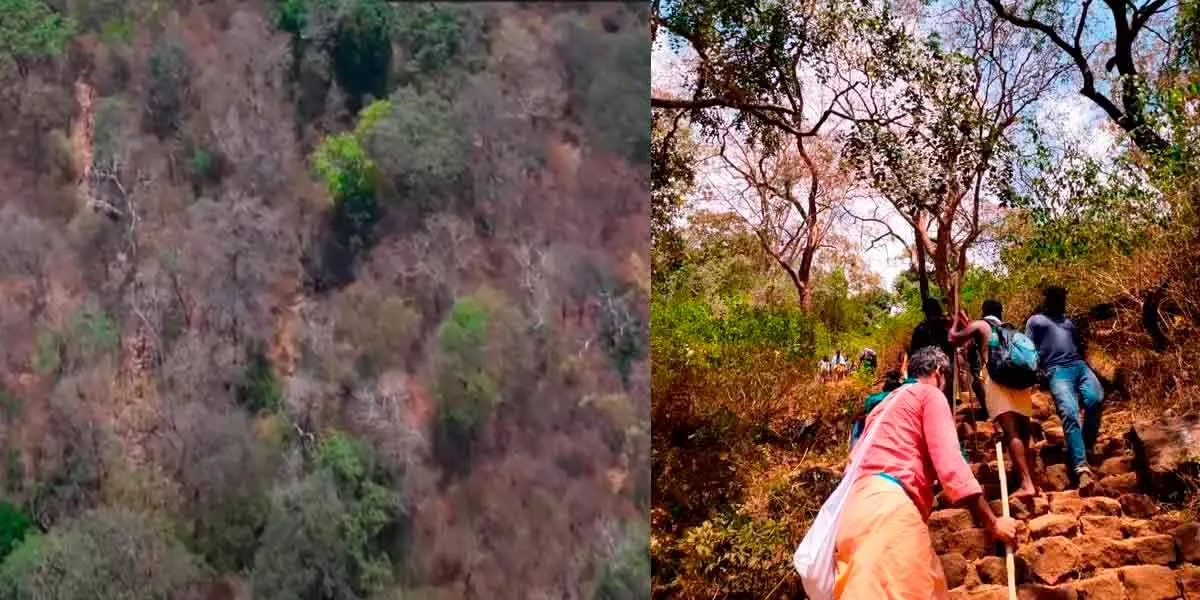  9th casualty; Again excitement in Velliangiri