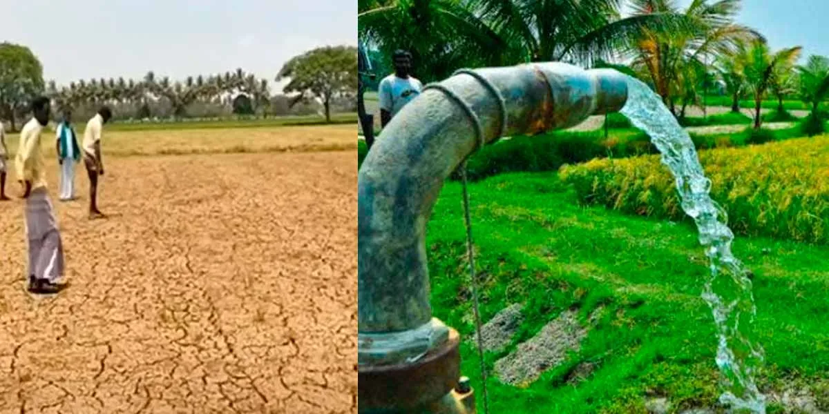 Tamil Nadu Govt Explains 'Three Phase Electricity Not Fully Provided'