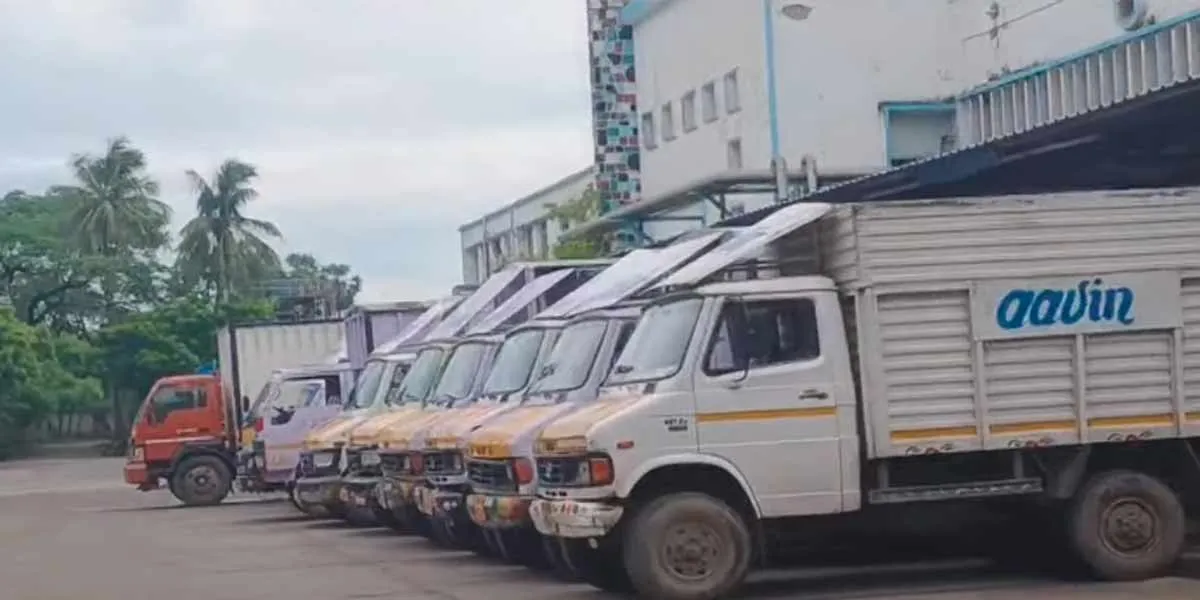  shortage of personnel; Milk supply is slow