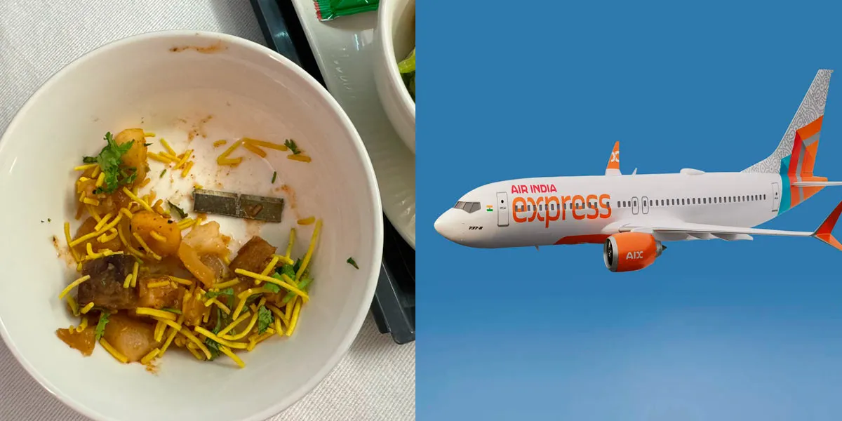 Air India Apologizes for 'Blade Piece in Fig Chat'