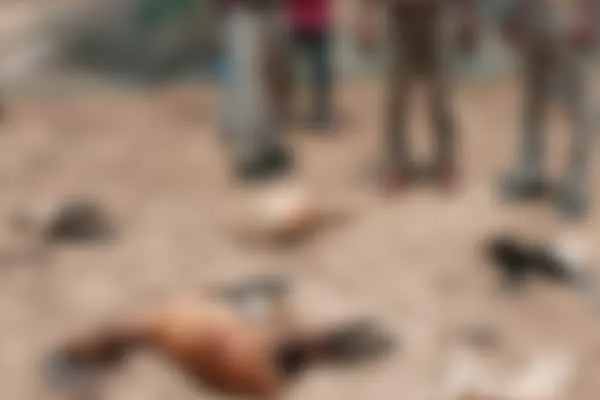 Goats attacked by mysterious animal bites; Forest department investigation