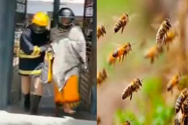 Devotees who raised sacrifices in the temple; Banished bees