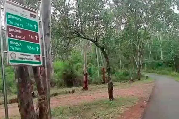 Human bones in a sack lying on the edge of the forest; Police investigation