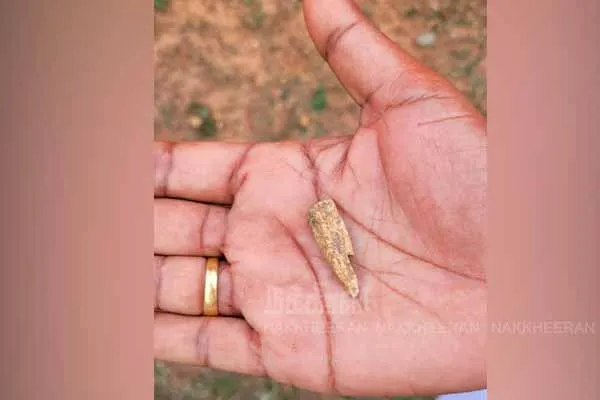 Discovery of Pot Symbols at Pandyan Fort