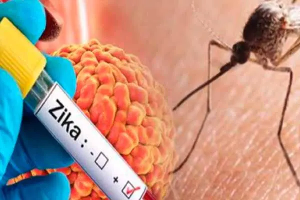 Again 'Zika virus'-warning given to state governments