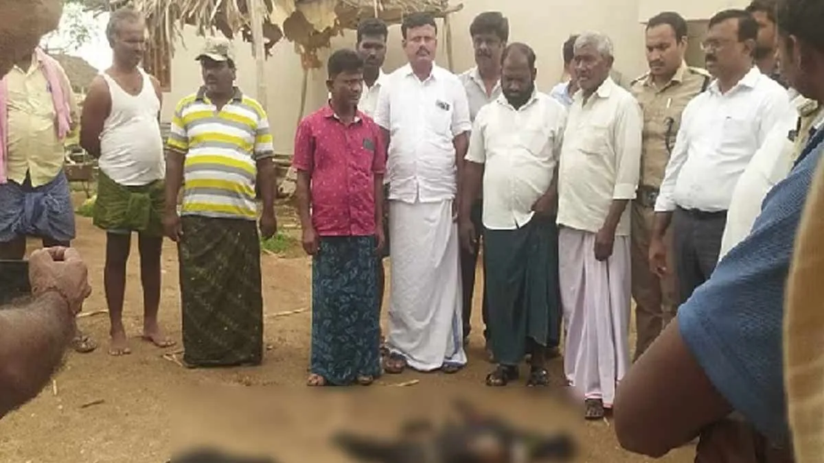 2 goats attacked in leopard attack near Thalavadi