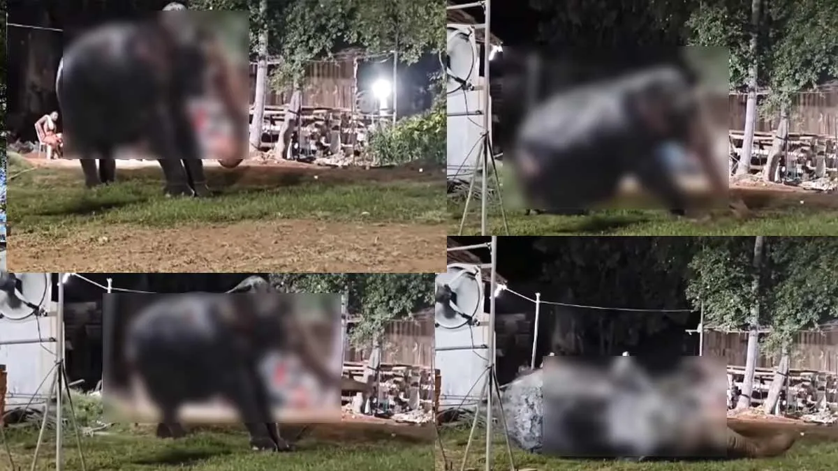 Heart-wrenching ''Last Second''-Viral video