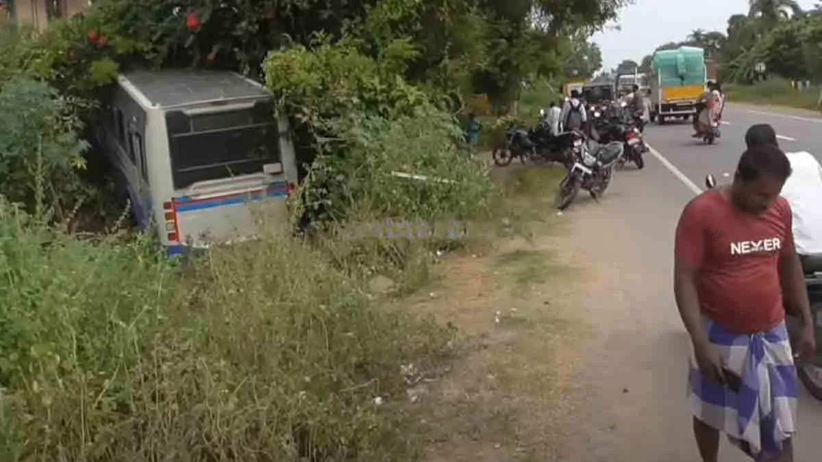  The government bus entered the bush