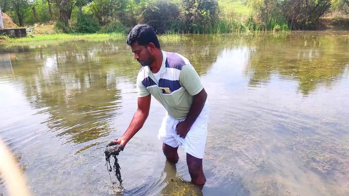 'Not only paddy but also fish can be grown in the field..'-Agriculture Semmal award to the farmer who has achieved!