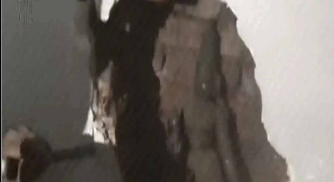 statue 