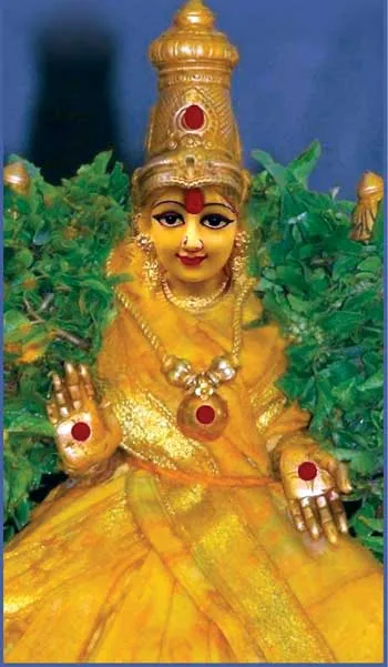 aadi