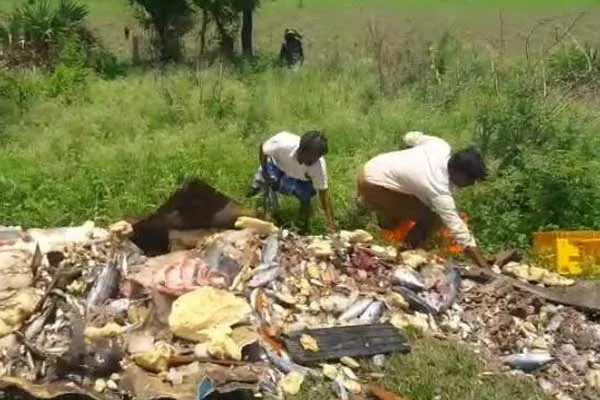  car lorry incident  near cuddalore 