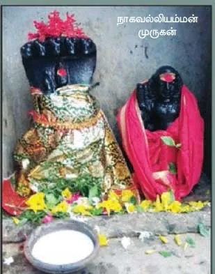 adisivan