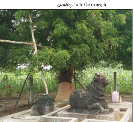 adisivan