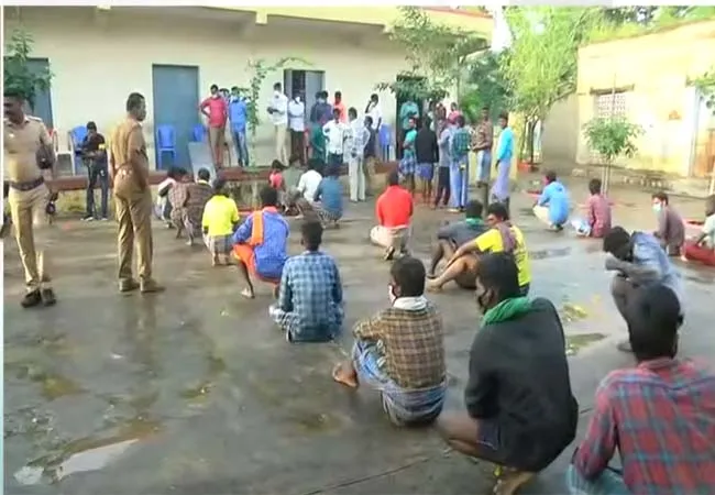 jallikattu competition madurai arrangement's 