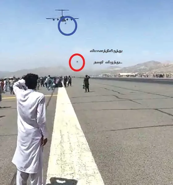 afghan