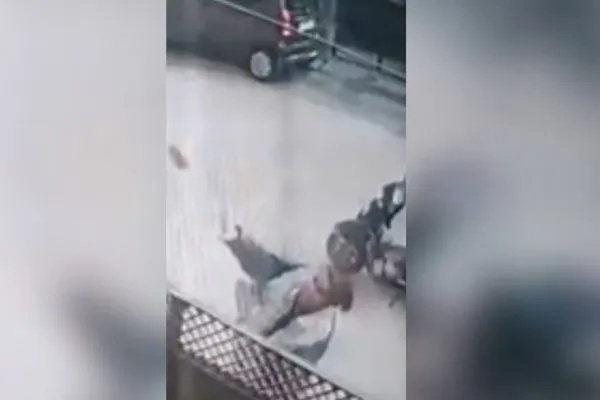 A daughter who throws stones at her parent's house in agra