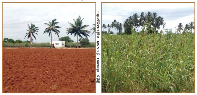 agri-land