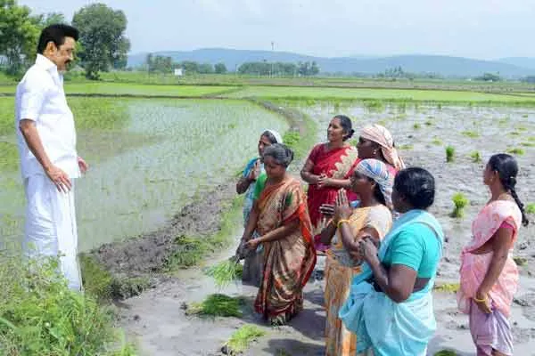 TN Govt information for It is a leading state in the field of agriculture