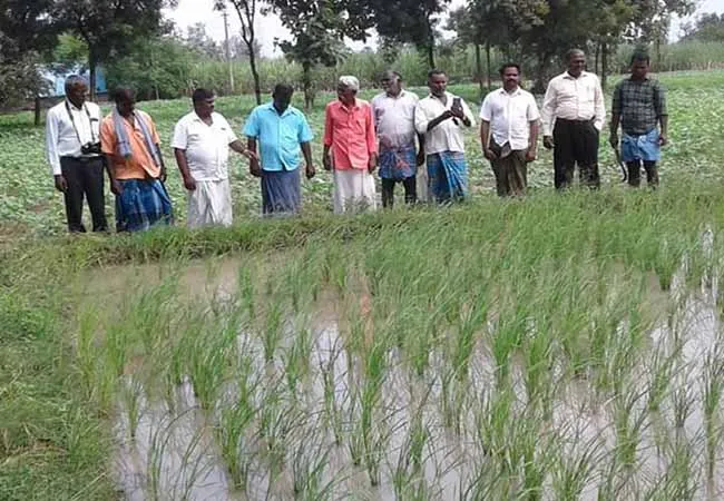  Coimbatore Agricultural University professors training farmers 